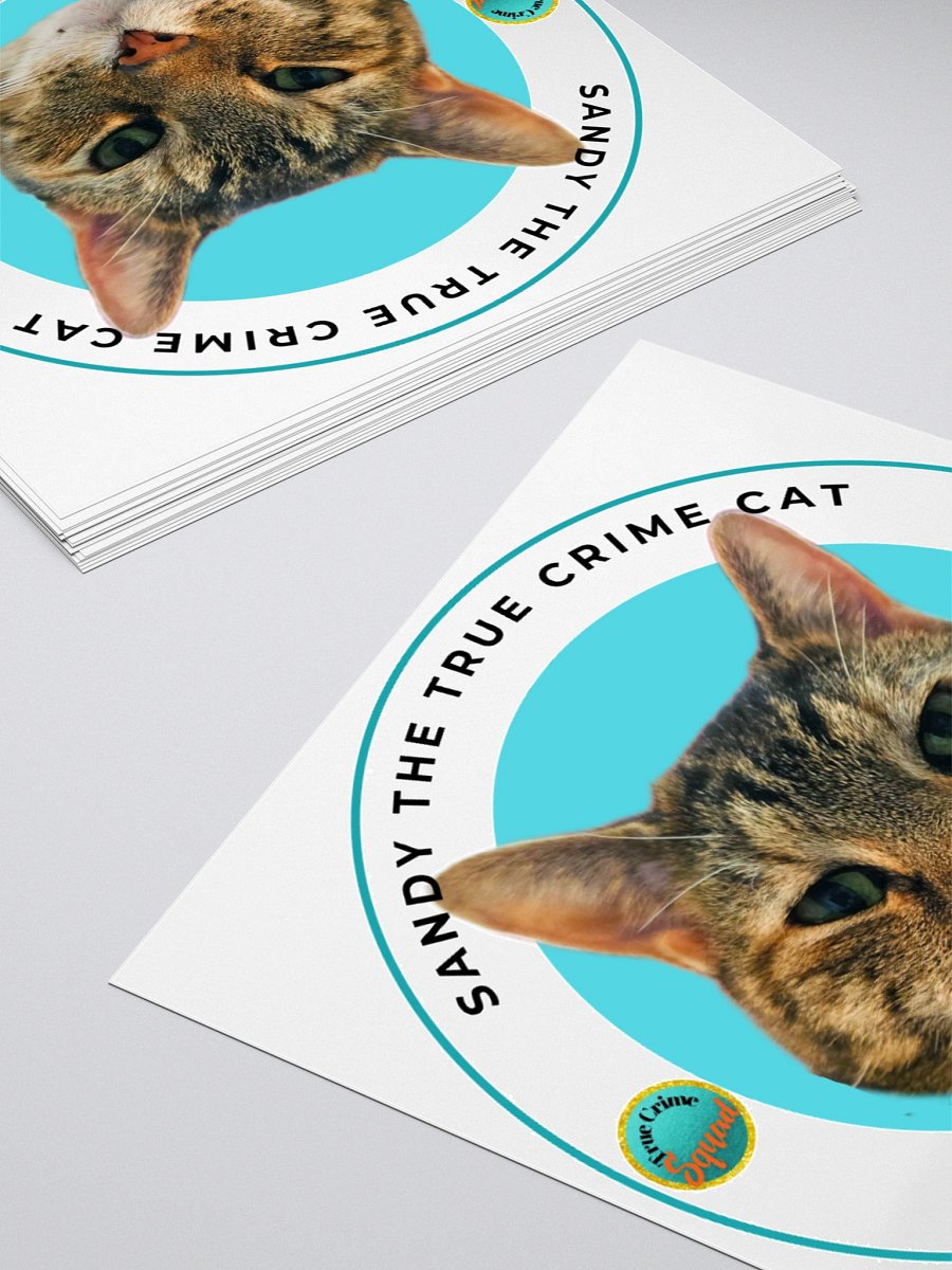 Sandy the True Crime Cat product image (4)