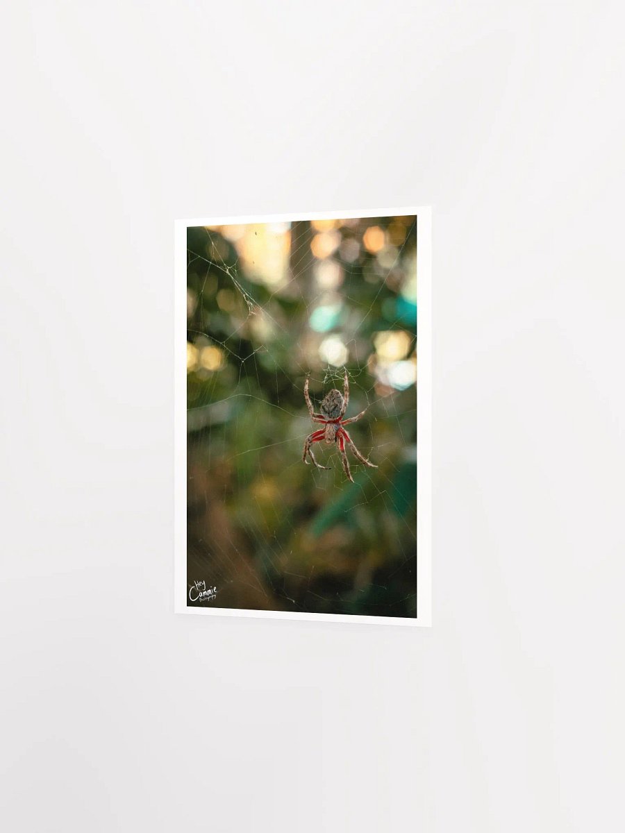 The Spiders Web - Print product image (2)
