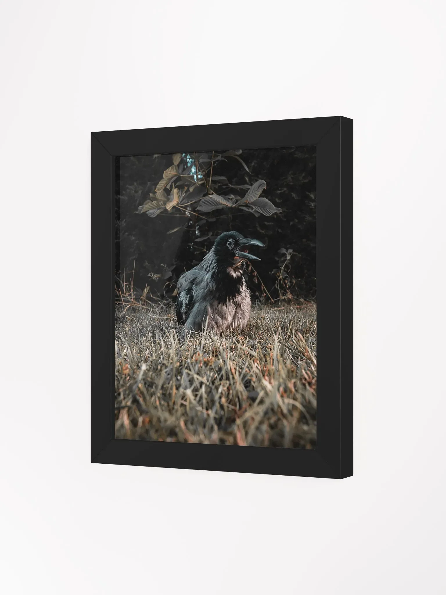 Hafez's Last Sunbeam product image (3)