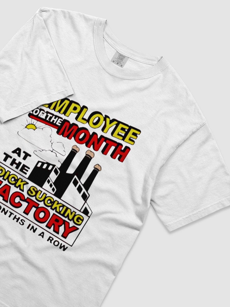 Employee of the Month Parody T-SHIRT product image (3)