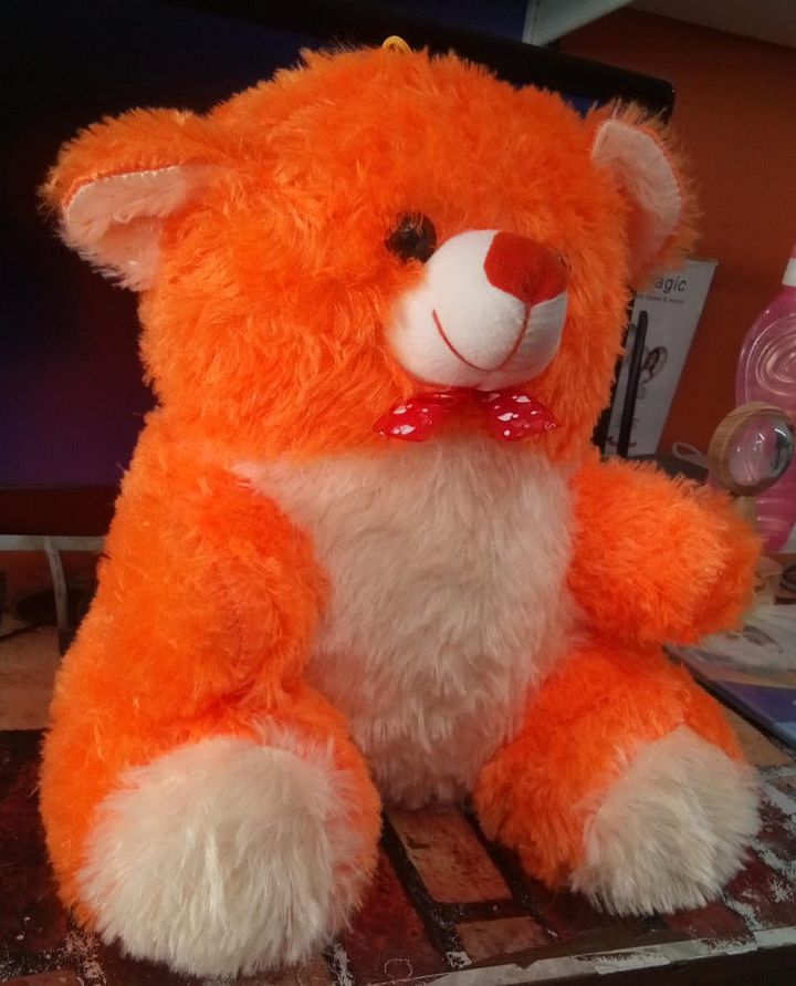 TEDDY BEAR product image (2)