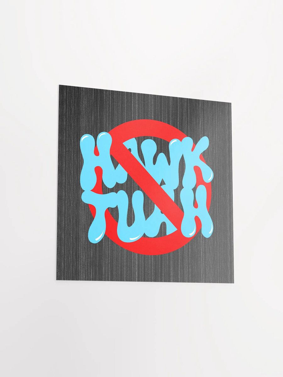 No Hawk Tuah Matte Paper Poster product image (14)
