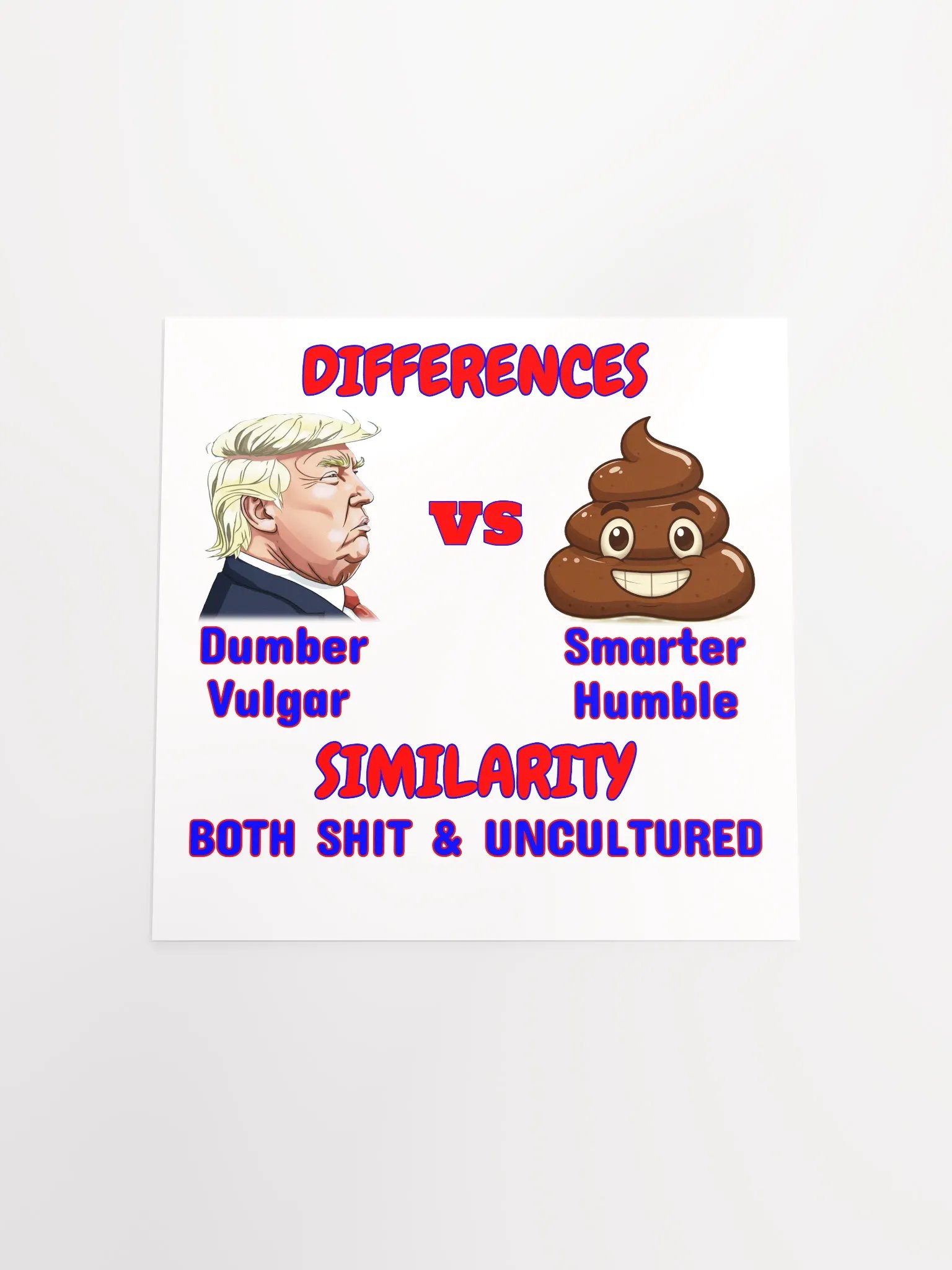 Differences vs Similarity Poster product image (16)