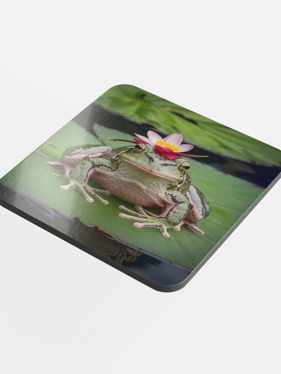 Frog Coaster product image (4)