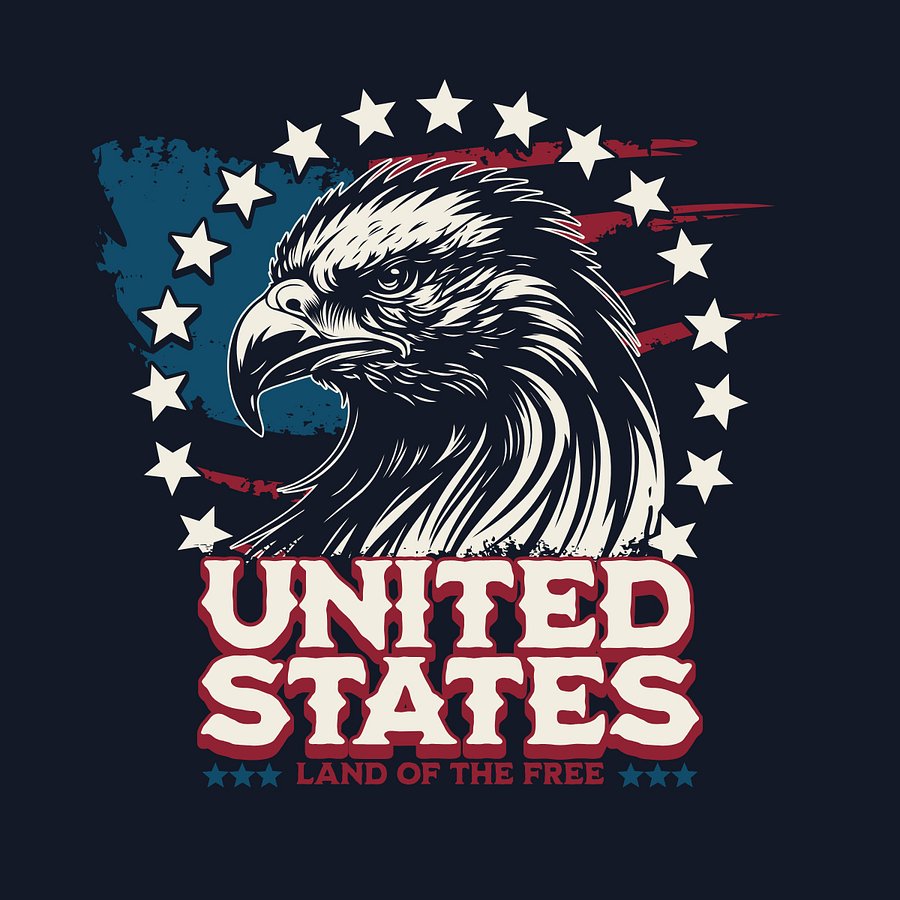 Patriotic United States Logo Illustration Clipart product image (1)