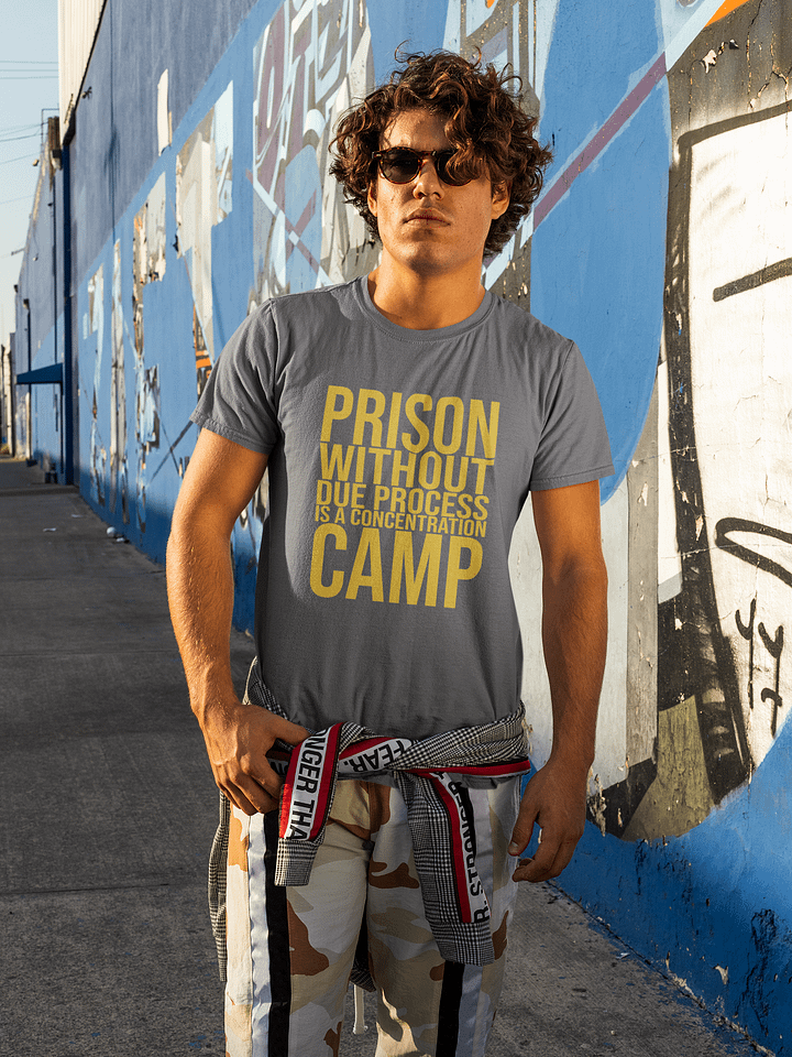 Due Process Concentration Camp T-Shirt - Being Liberal product image (2)