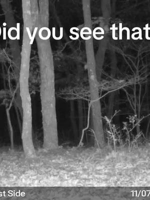 Did you see it? Yes, i have the hunkr of a 5th grader. #hunting #gamecamera #deer 
