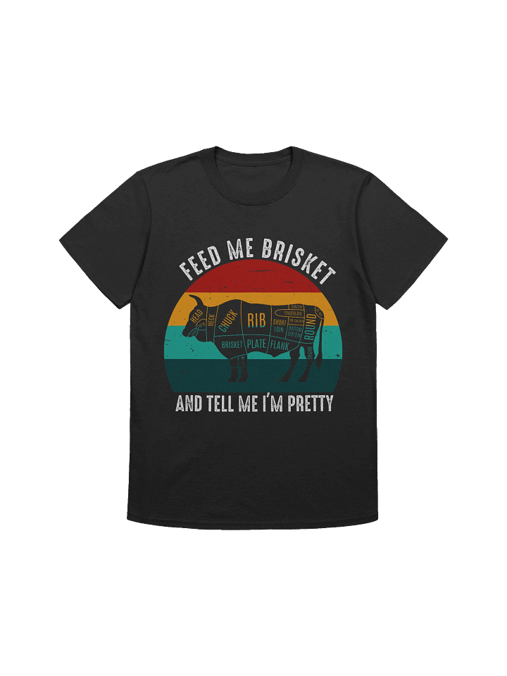 Feed Me Brisket and Tell Me I’m Pretty (Retro Sunset) – Gildan Softstyle Unisex T-Shirt product image (1)