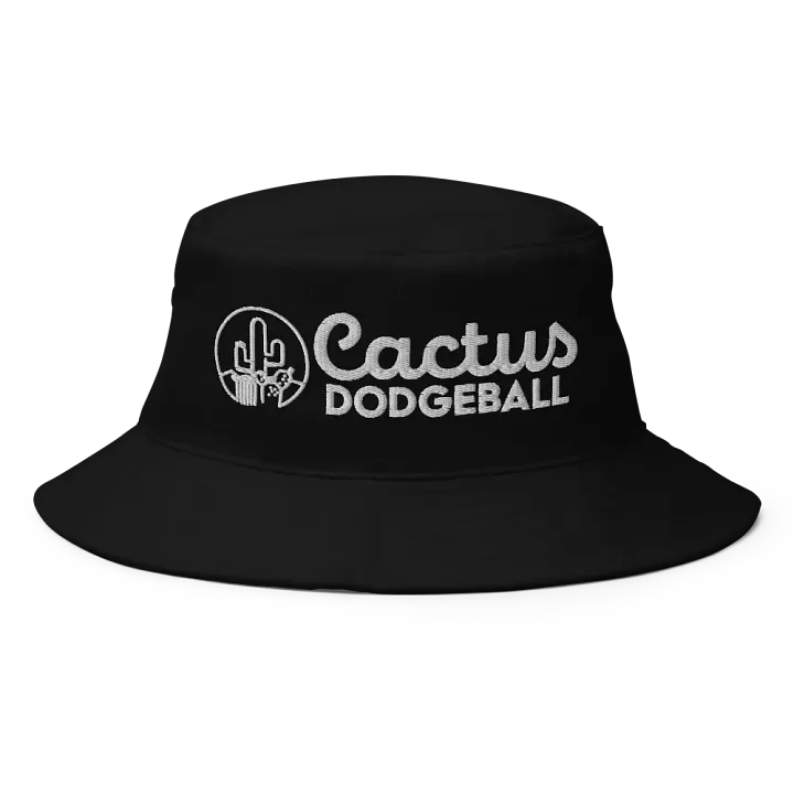 Cactus Dodgeball 