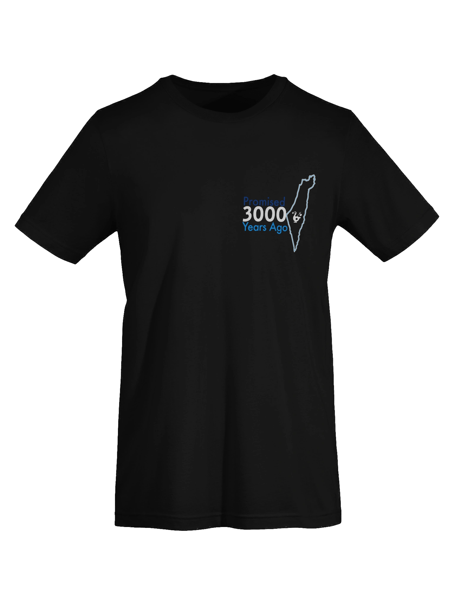 Promised Tee product image (21)