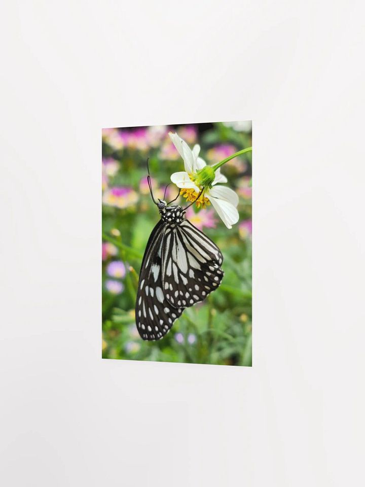 Tropical Paper Kite Butterfly Matte Poster #2 5x7" product image (2)