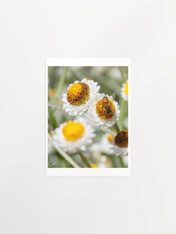 Bee Happy - Print product image (1)