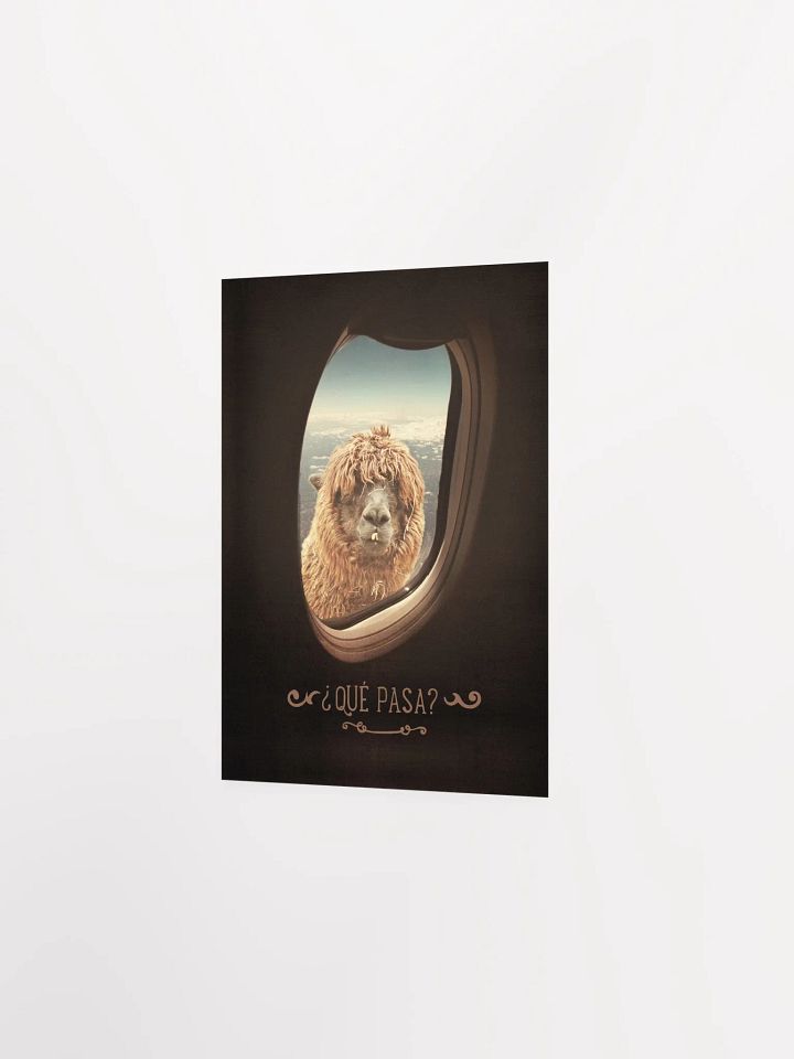 Llama's Perspective Poster "¿Que Pasa?" product image (14)