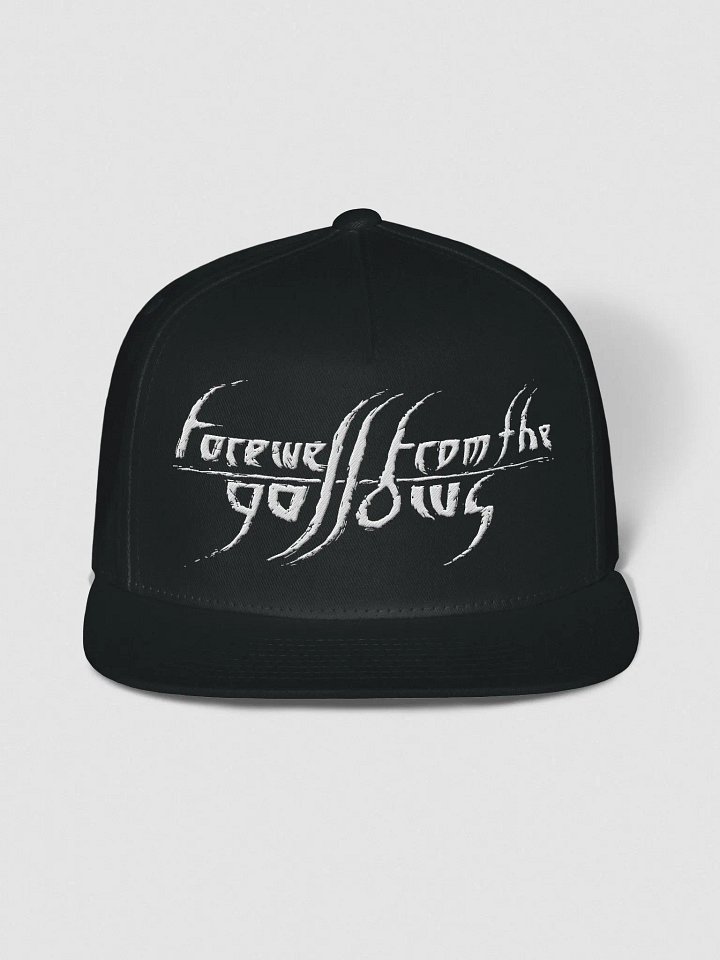 FFTG Snapback product image (1)
