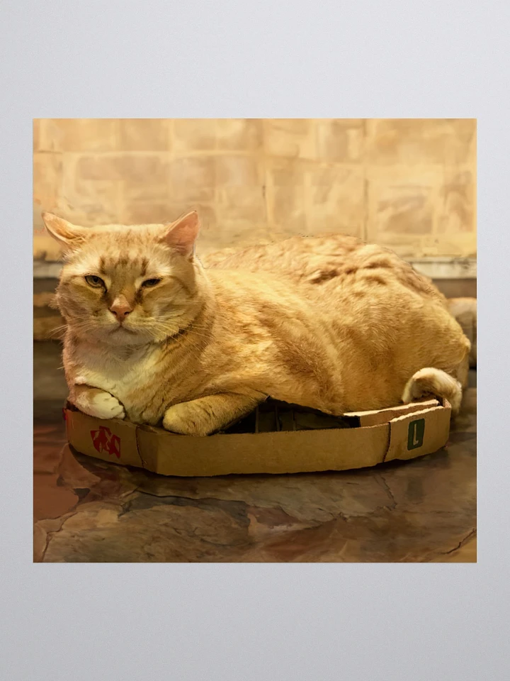 Can't keep Colby in a box sticker product image (1)