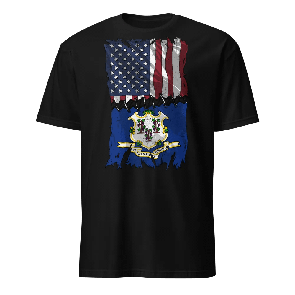 Connecticut Stitch Flag USA product image (1)