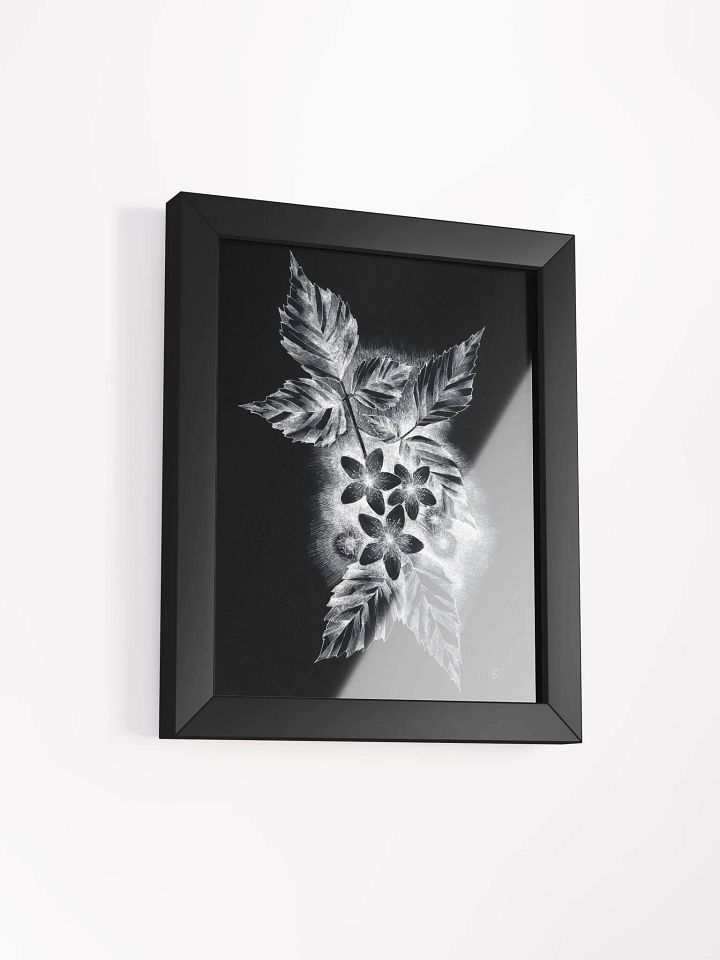 Monochrome Nature Beauty Framed Poster - Dark Jasmine product image (12)