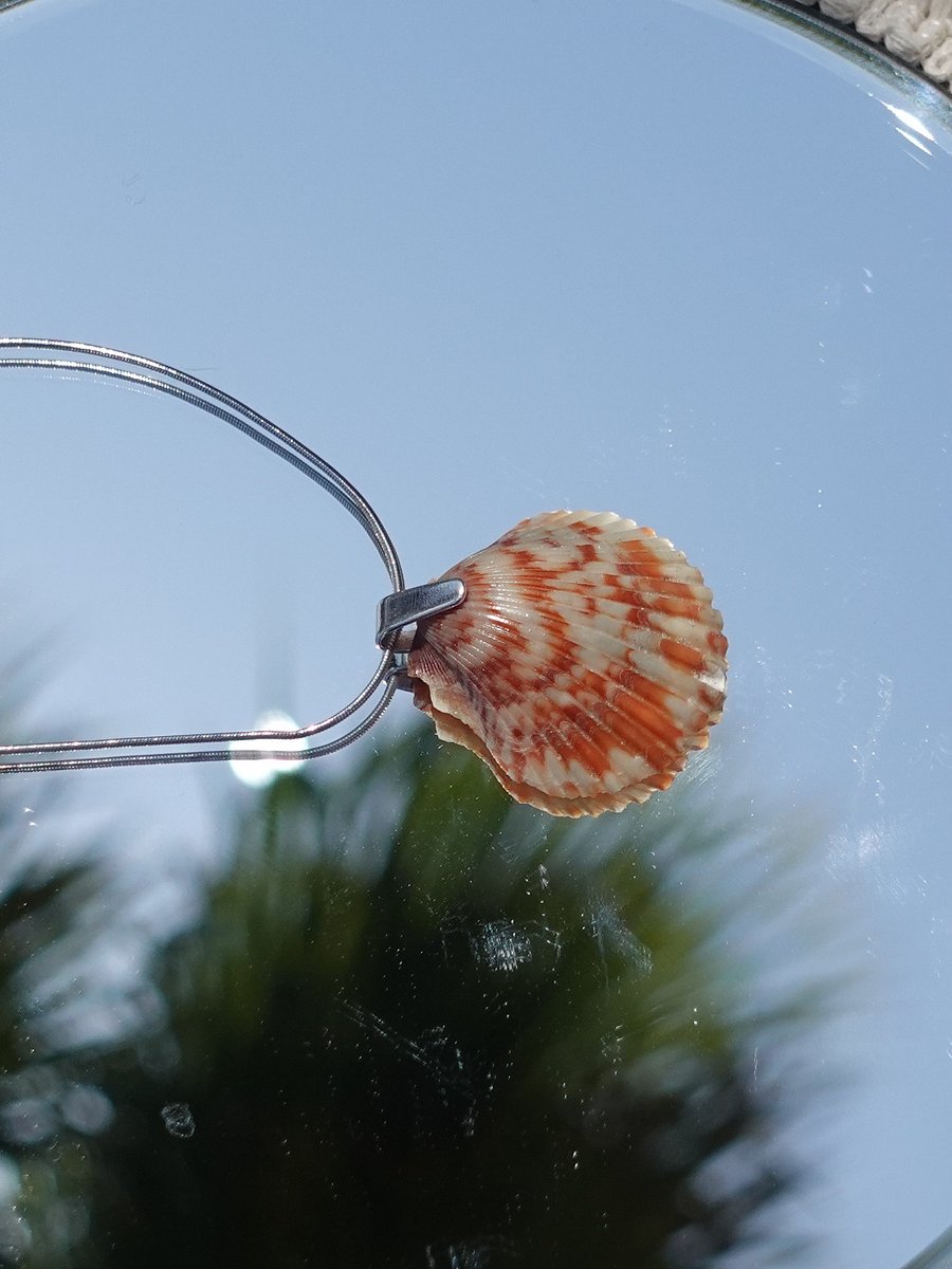 Mermaid Wish Necklace ~ 1 product image (3)