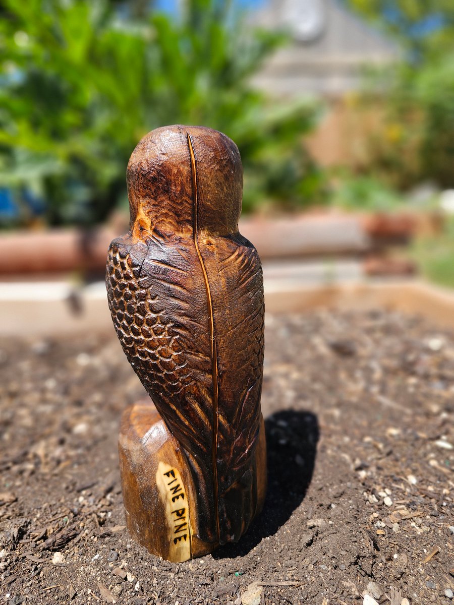 Wood Carved Owl! product image (3)