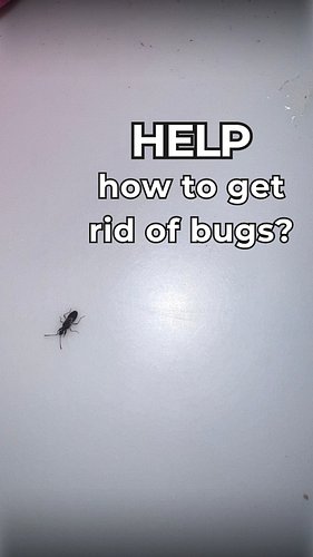 Lots of bugs in the RV, and we sprayed everything that touched the floor, but somehow these got in through the slides, does a...