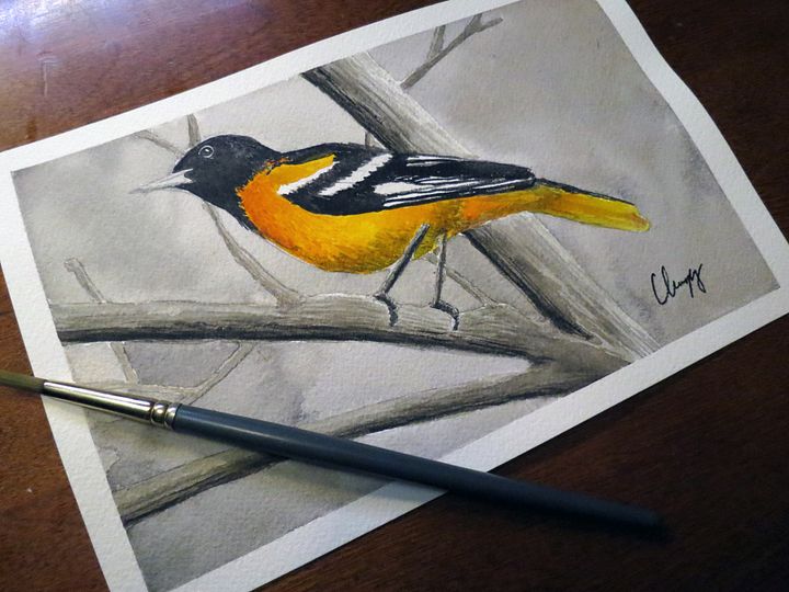 Baltimore Oriole - Original Watercolor Painting product image (1)