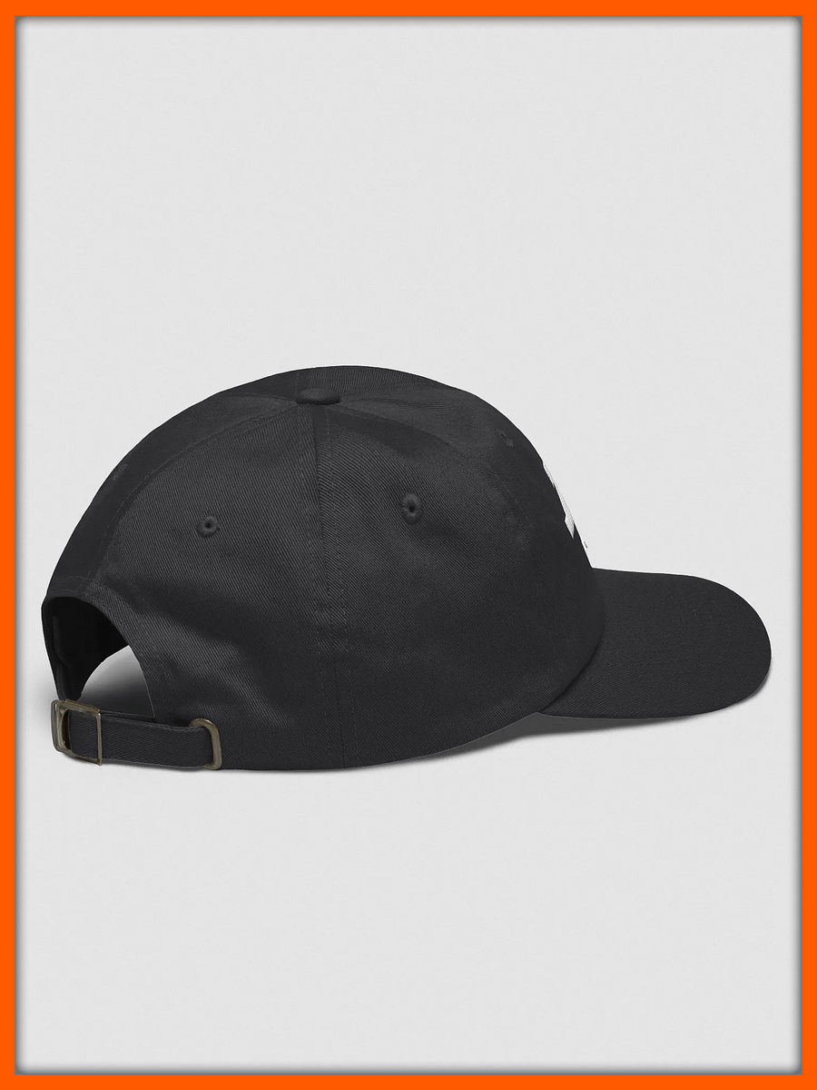 D2S "Iron" Dad Hat product image (4)
