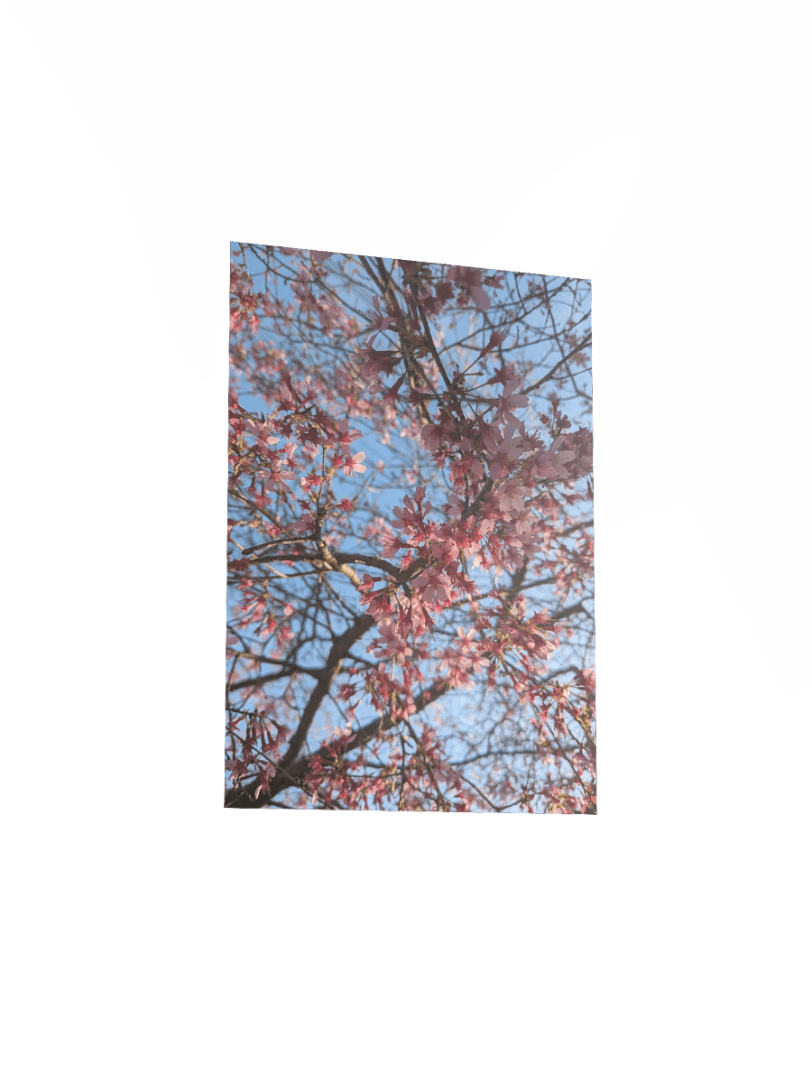 Baby Blossoms Poster product image (3)