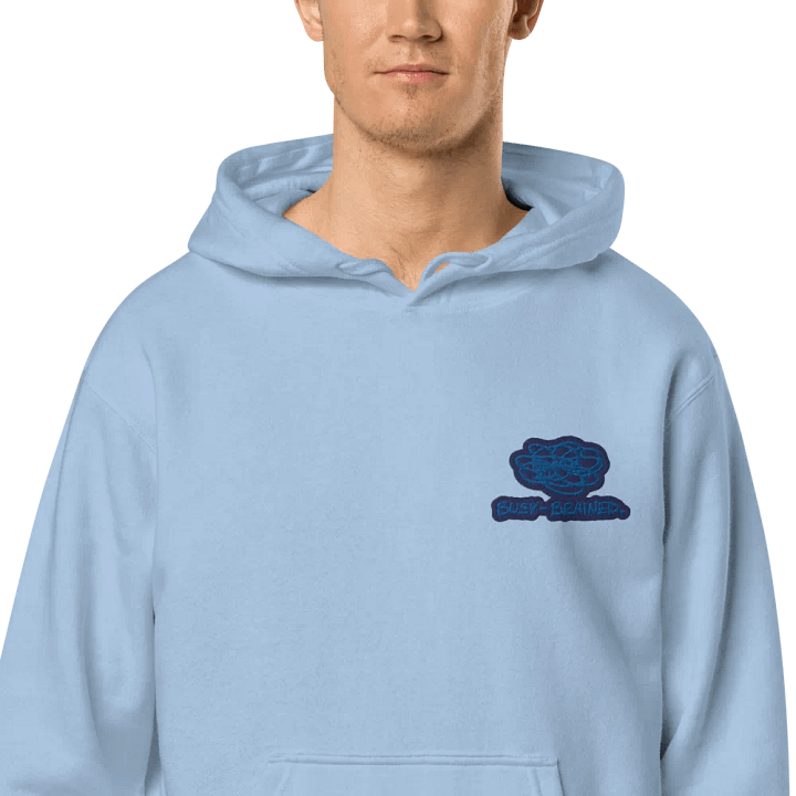 BUSY-BRAINED (L.C. lake design) embroidered pigment hoodie product image (1)