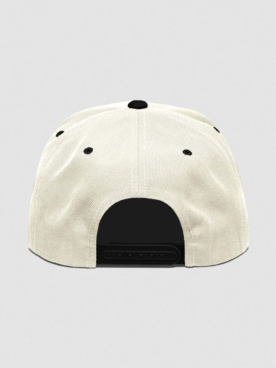 Bitag Retro Vibes Snapback Cap product image (6)