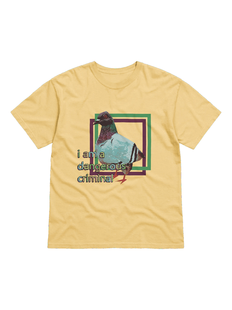 i am a dangerous criminal product image (1)