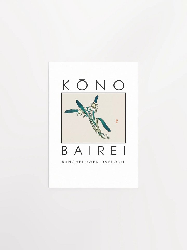 Kono Bairei Bunchflower Daffodil Poster product image (2)