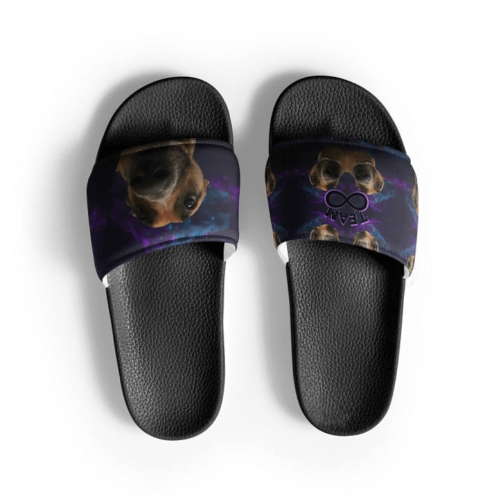 The Ruka Steppers product image (2)