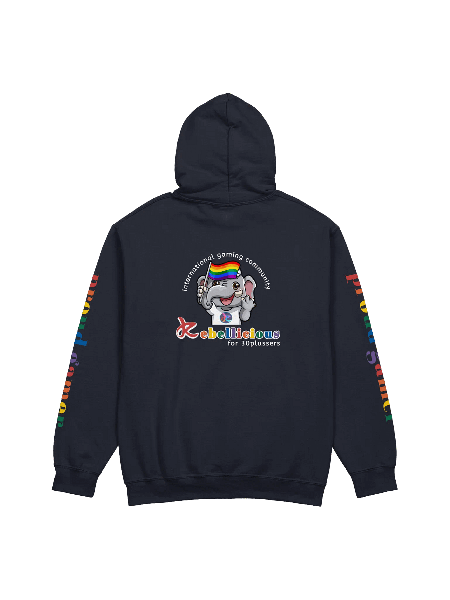 Rainbow Gamer Pride Hoodie product image (4)