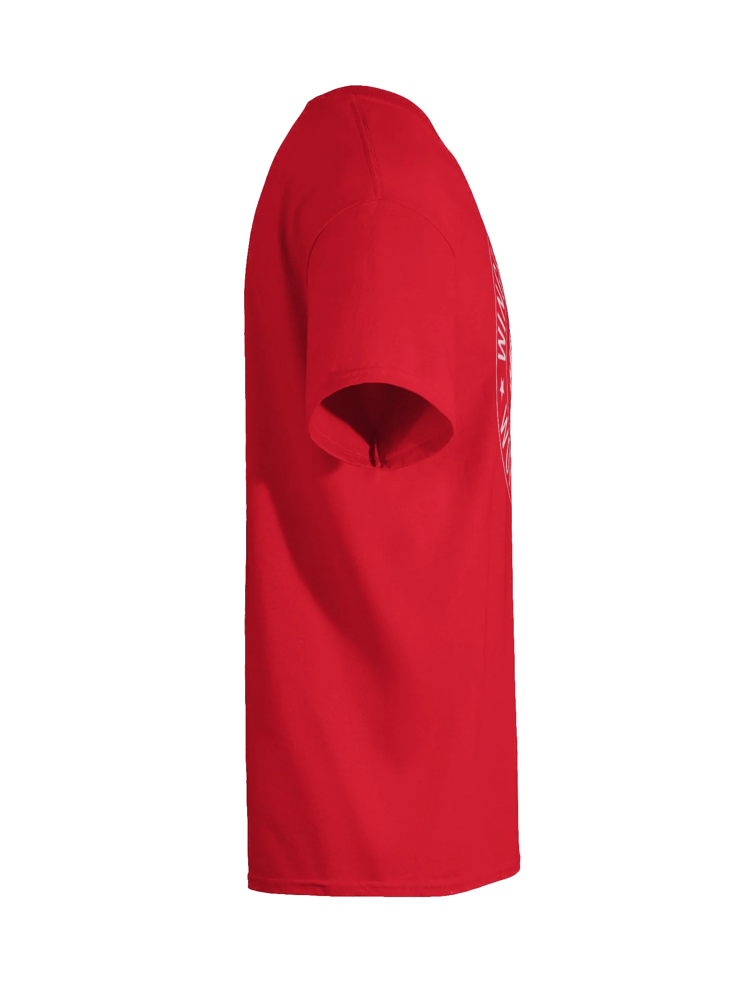 Winged Hussar World Tour product image (24)