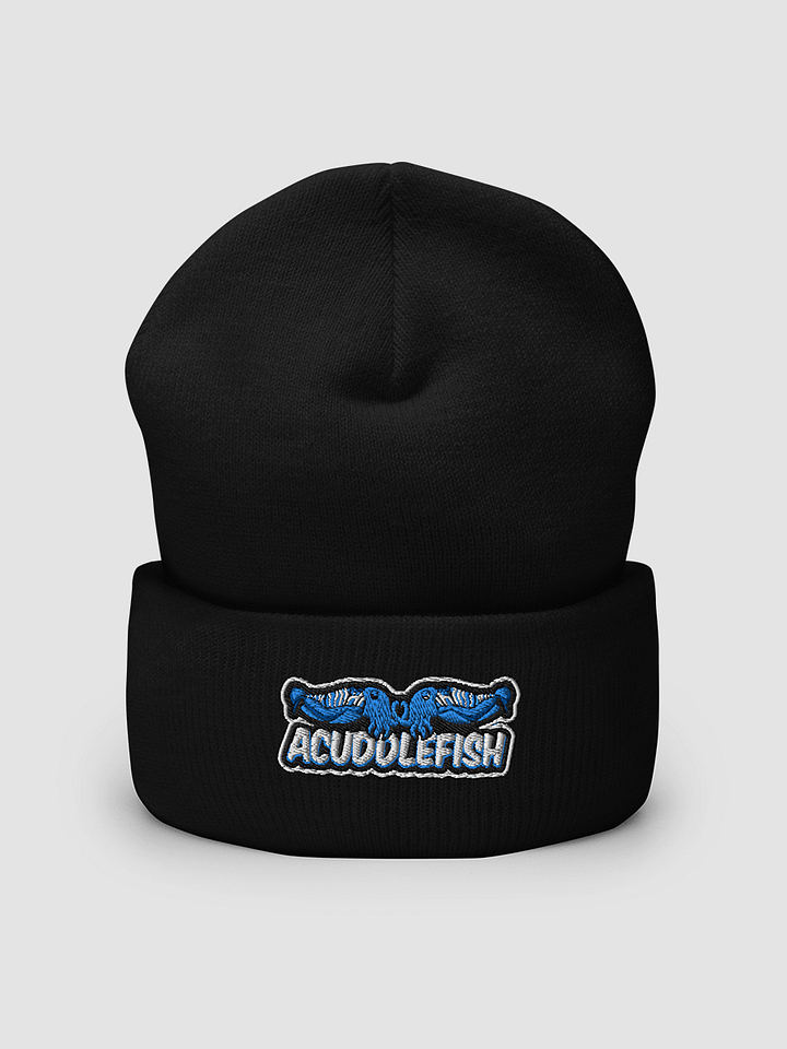 Cuffed Beanie product image (2)