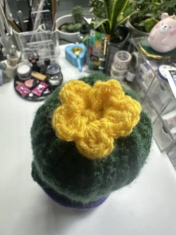 Handmade Cactus Crochet Plush product image (3)