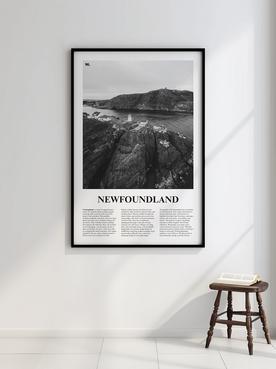 Newfoundland 01 Newspaper Poster product image (2)