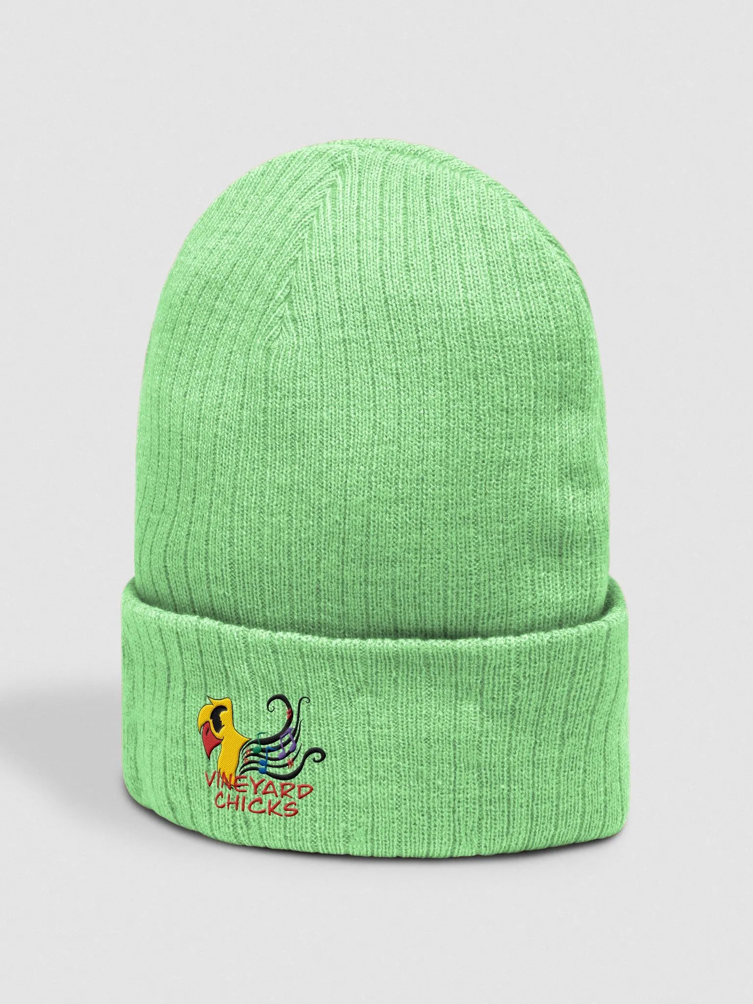 Vineyard Chicks Logo Ribbed Knit Beanie product image (11)