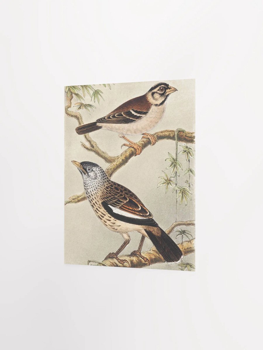 Two Birds - Twee vogels op takken product image (15)