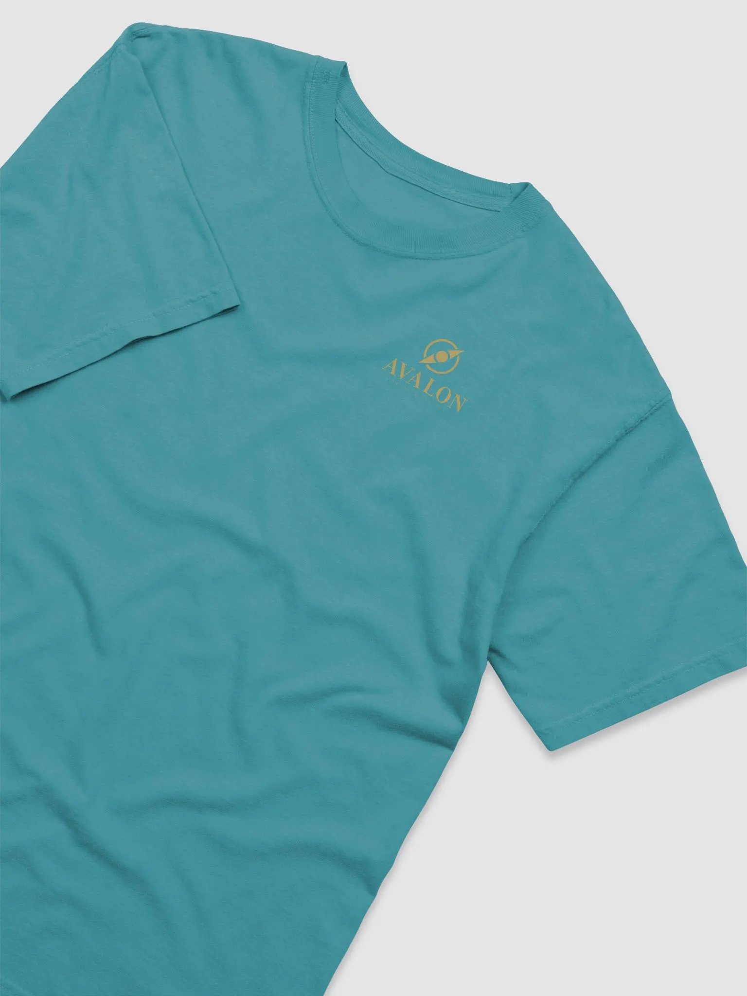 Men's Garment Dyed T-Shirt product image (19)