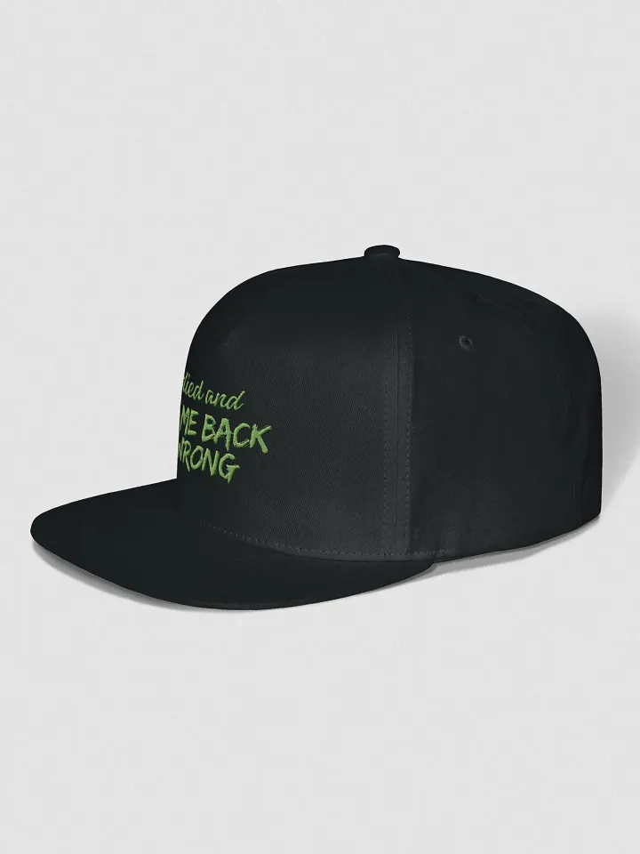 Died and Came Back Wrong Snapback product image (2)