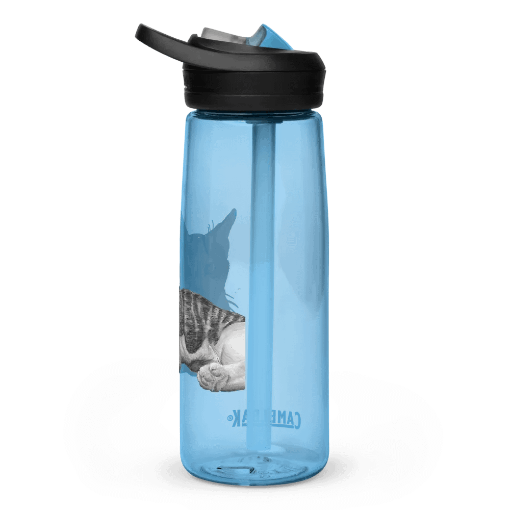 Cat Drawing Water Bottle Straw product image (61)