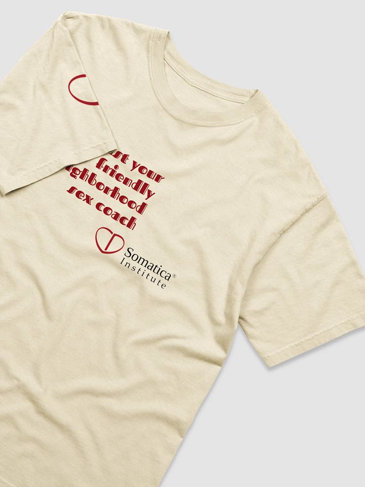 Just your friendly neighborhood sex coach t-shirt product image (2)