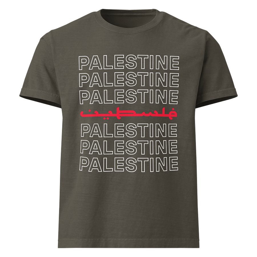 Palestine Oversized Unisex T-shirt product image (5)