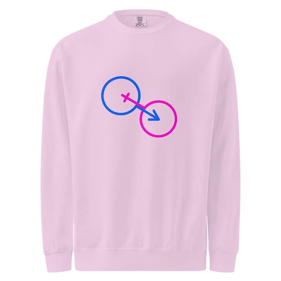 Natural Genders Symbolic Sweatshirt product image (1)