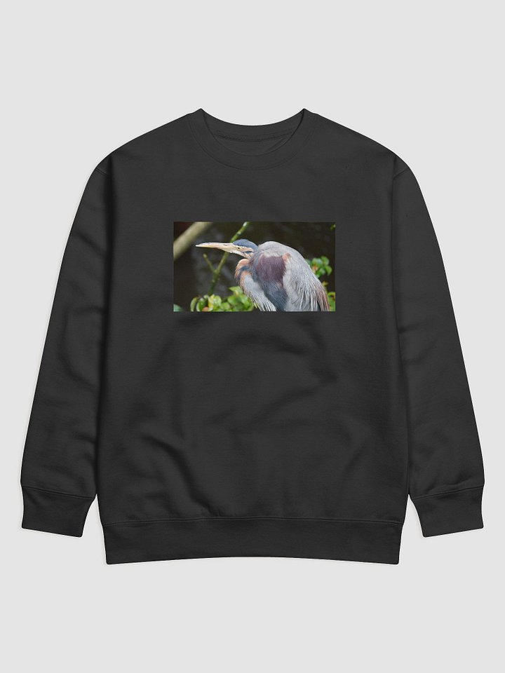 Colorful Plumage Cotton Sweatshirt product image (1)