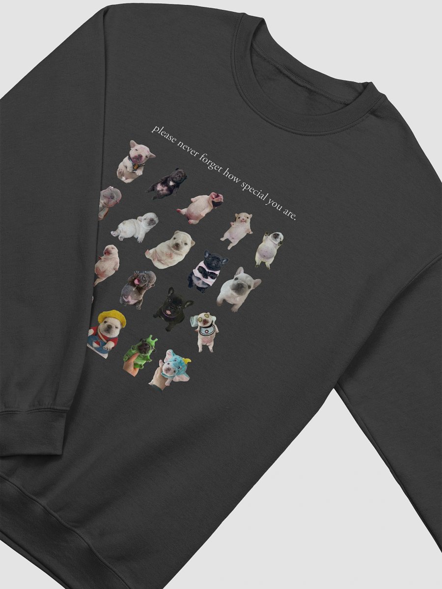 you are so special crewneck (and backside) - dark colors product image (10)