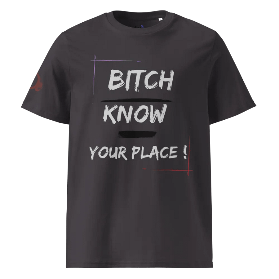 Bold Statement Tee, Know Your Place, Confident Attitude Shirt, Fearless Expression Tee, Edgy Graphic Shirt, Stand Your Ground product image (5)