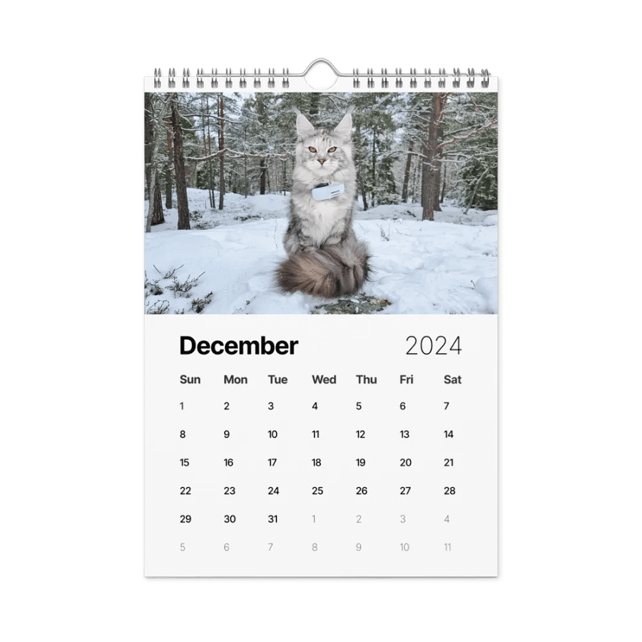 2024 Calendar - Adventures with Maine Coons product image (6)