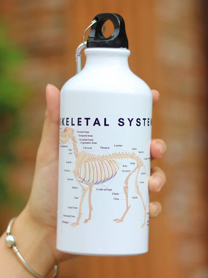 Canine Anatomy Sports Jug product image (1)